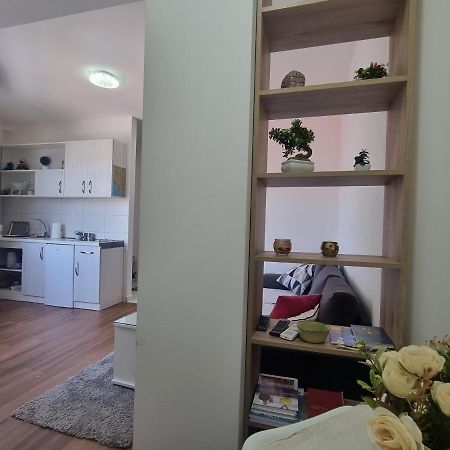 Victory Apartment Нікшич Екстер'єр фото